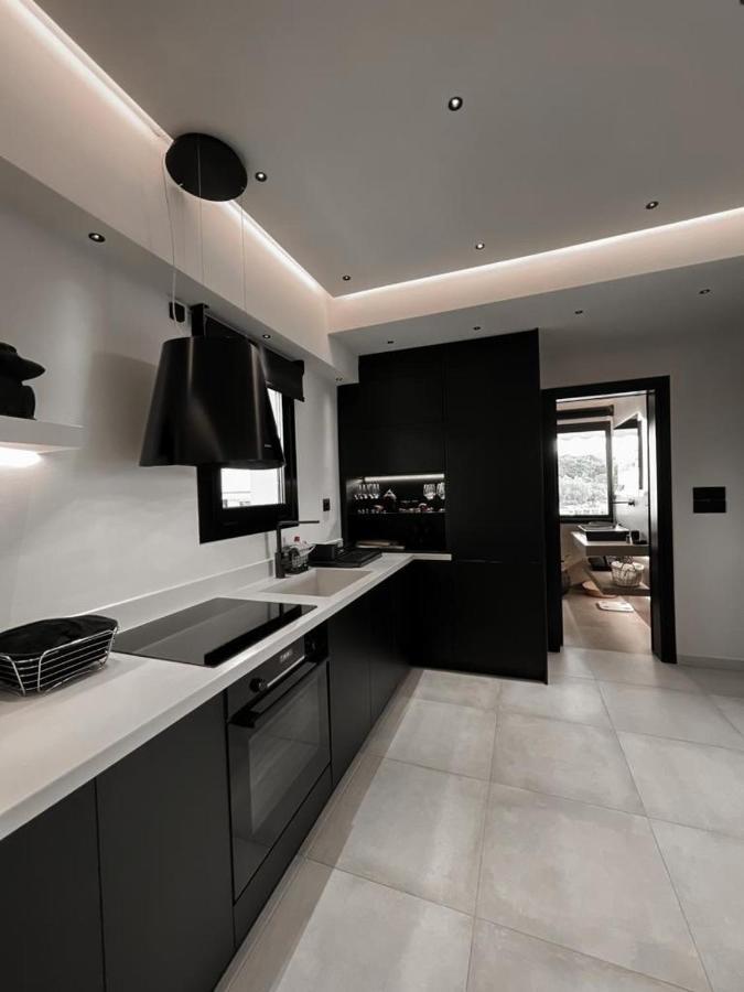 Lagonisi Luxury Appartment 2 By The Sea エクステリア 写真